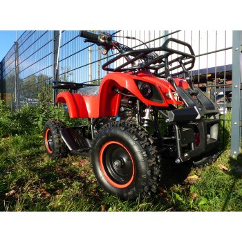 50ccm Kinderquad 49ccm 4 Takt Quad ATV Miniquad Kinder...