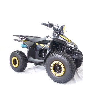 125ccm Quad ATV Kinder Pitbike 4 Takt Motor Quad ATV 7...