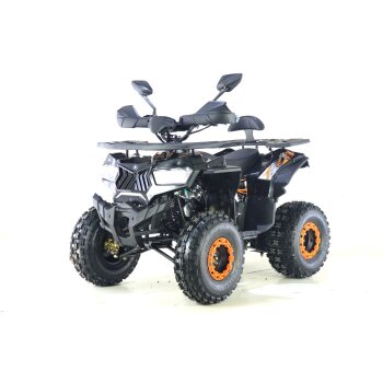 125ccm Quad ATV Kinder Pitbike 4 Takt Motor Quad ATV 8...